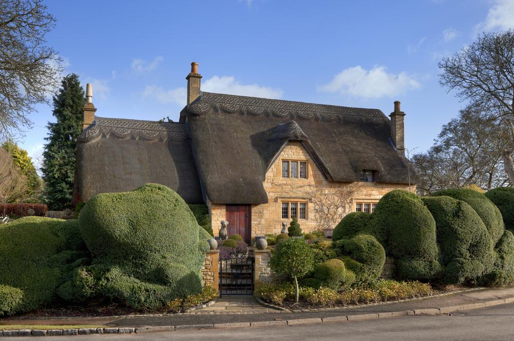 Thatched Roof